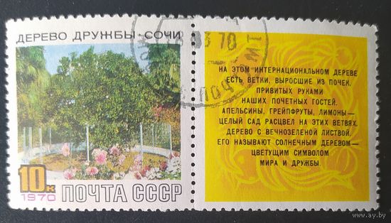 СССР 1970 Дерево дружбы, Сочи.