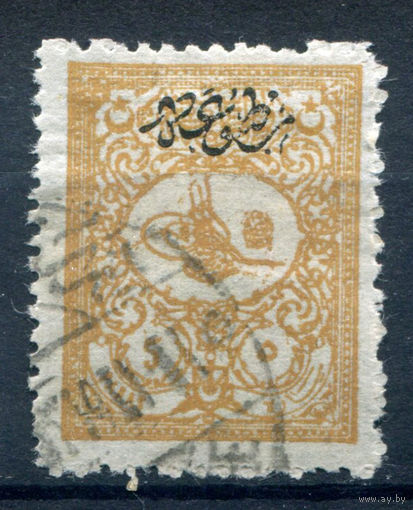Османская Империя (Турция) - 1901г. - тугра Абдул Хамида II, 5 Pia - 1 марка - гашёная [Mi 113 A]. #4-W2-126-A-1