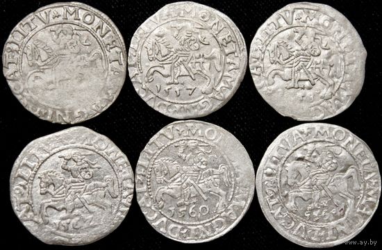 Полугроши 1557-1562 г. Вильно (Великое Княжество Литовское), Сигизмунд Август. Одним лотом!