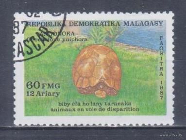 [577] Мадагаскар 1987. Фауна.Черепаха. Гашеная марка.
