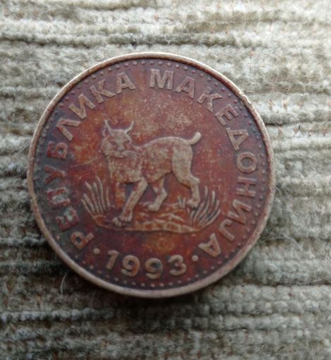 Werty71 Македония 5 денаров 1993 Кошка Рысь динаров Блеск