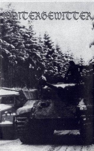 Wintergewitter "The Final Solution" кассета