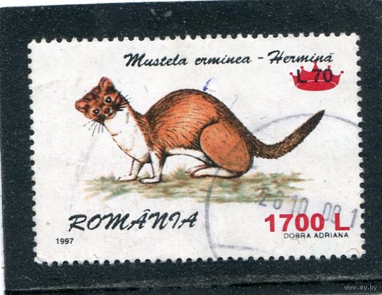Румыния. Фауна. Пушные звери