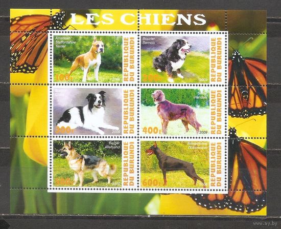 ФФ3 Бурунди 2009 Собаки