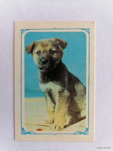 Карманный календарик 1986 г.