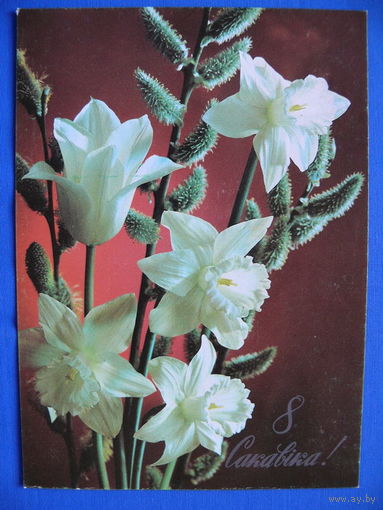 Фото К. И. Костенко, 8 марта! (на белорусском языке), 1988, чистая.