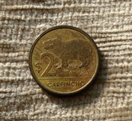 Werty71 Уругвай 2 песо 2011  Копибара Водосвинка