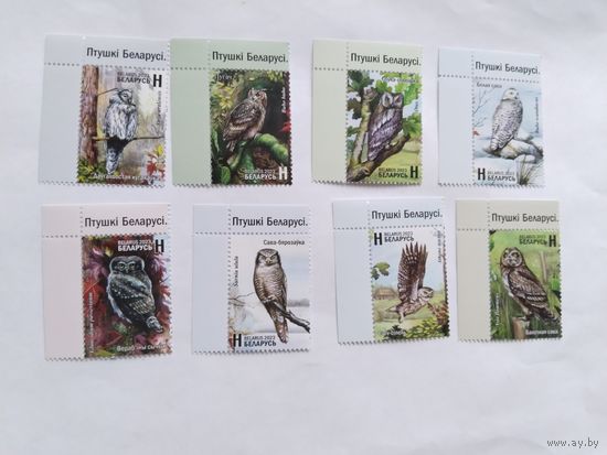 Беларусь 2023 8 м совы