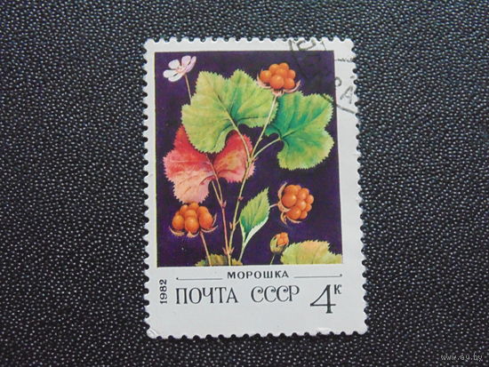 СССР 1982 г.