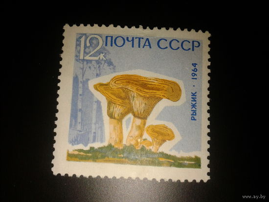 СССР. 1964г. Грибы. Рыжик.