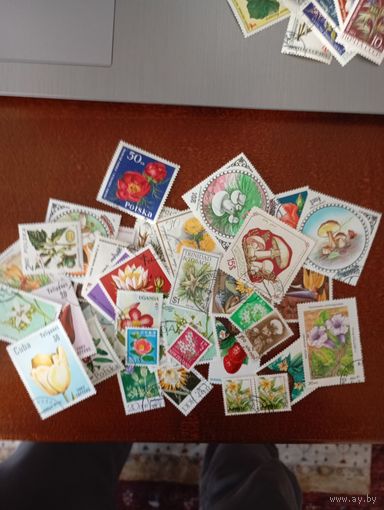 Флора сборный  марки разных стран 41шт