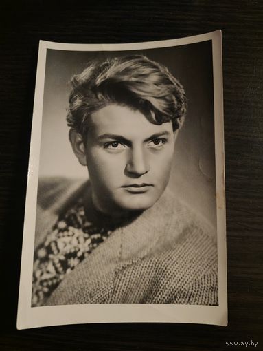 Артисты Панич