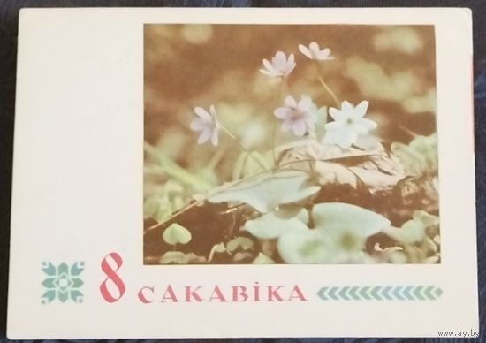 Барановский, Грак. Чистая. 1968