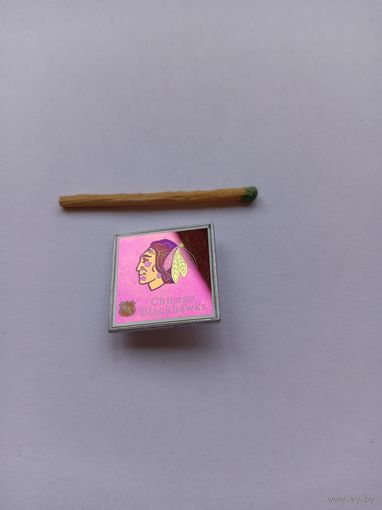 ХК Чикаго Блэкхокс. Хоккейные клубы НХЛ. Стекло.