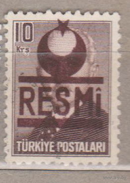 Известные люди личности Официальные марки Турция 1953 год лот 5 (8) с НАДПЕЧАТКОЙ ЧИСТАЯ