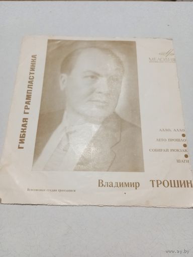 Миньон гибкий - Владимир Трошин - ВСГ