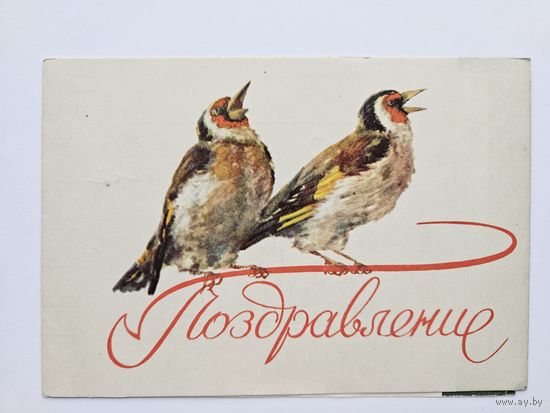 Телеграмма 1958 Поздравление