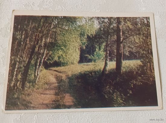 Открытка - Подмосковье. 1968