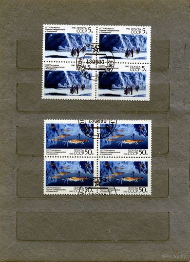 СССР, 1990, НАУЧНОЕ СОТРУДНИ ЧЕСТВО,  серия 2м,  в к/блок гашеная