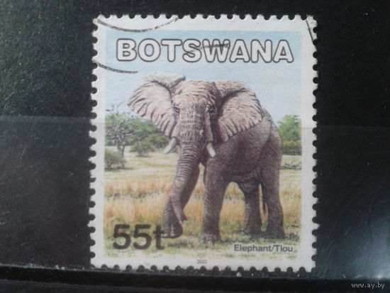 Ботсвана, 2002. Африканский слон