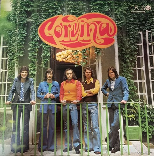 Corvina – Corvina