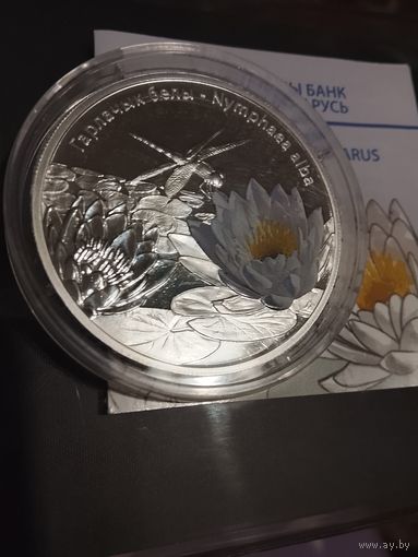 Гарлачык кувшинка