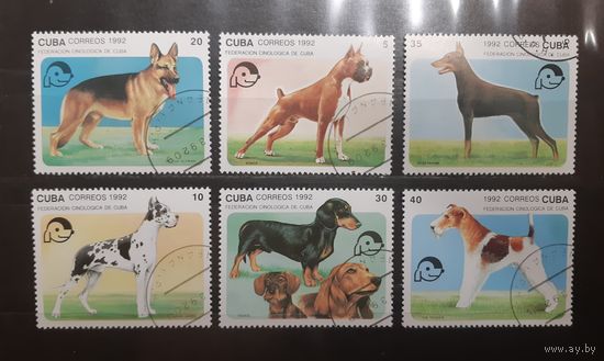 Куба. 1992 год. Фауна. Собаки (776)