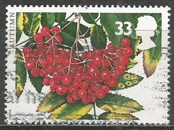 Британия. Рябина обыкновенная. 1993г. Mi#1466.