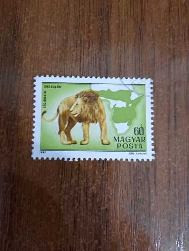 Венгрия 1981. Лев. Марка из серии