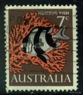 Австралия - 1966 [Mi. 364] Гашеная (AU09)