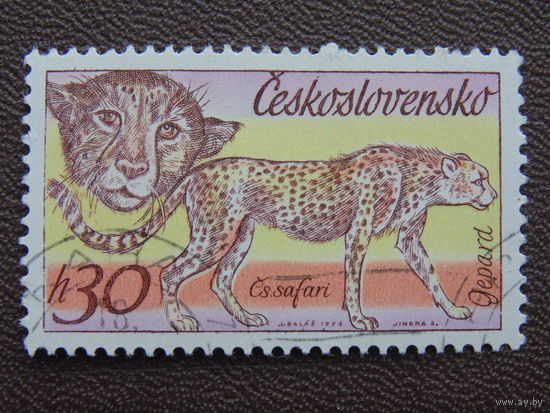 Чехословакия 1976 г. Гепард.