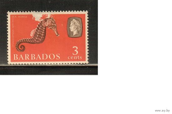 Барбадос-1965(Мих.237 у) , * , Морская  Фауна, Конек