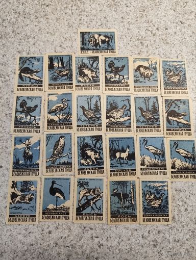 Спичечные этикетки