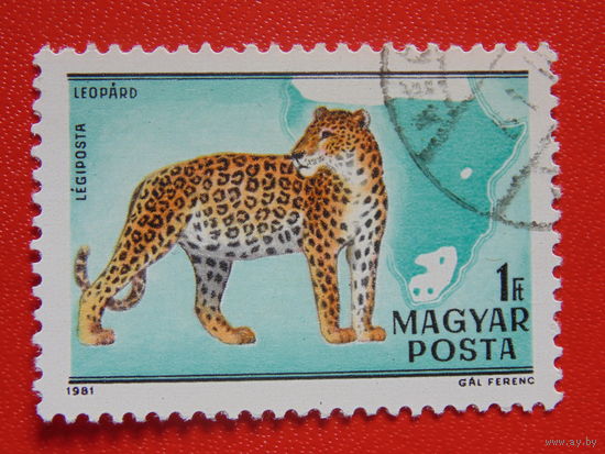 Венгрия 1981 г.
