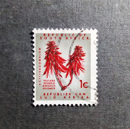 Марка Южная Африка 1961 год Цветы