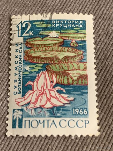 СССР 1966. Виктория Круциана. Сухумский ботанический сад. Марка из серии