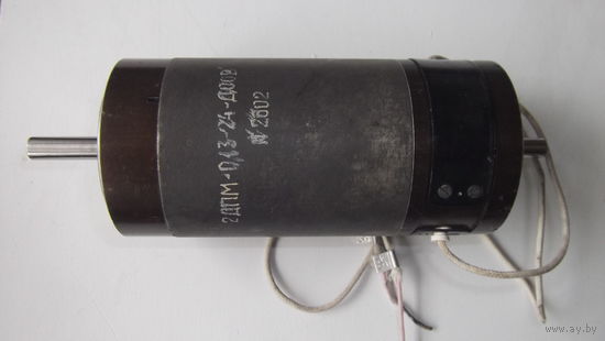 Электродвигатель 2ДПМ-0,13-24Д00В