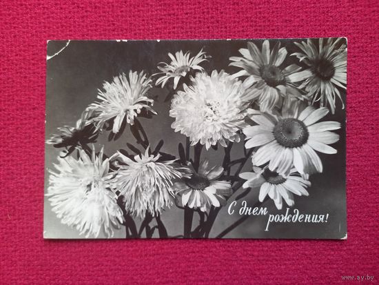 С Днем Рождения! Скороспехов 1965 г.