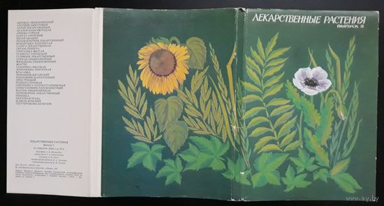 Комплект из 32 больших открыток (полный) Лекарственные растения 1987 Выпуск 5 Шипиленко