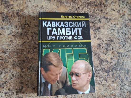 Кавказский гамбит - ЦРУ против ФСБ - Стригин 2006