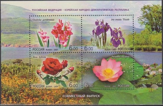 Россия. 2007г. Цветы. Флора.