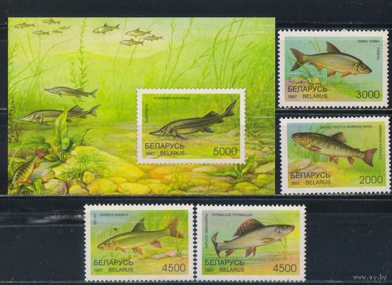 Беларусь Респ 1997 Рыбы Полная Бл 15 #217-21**