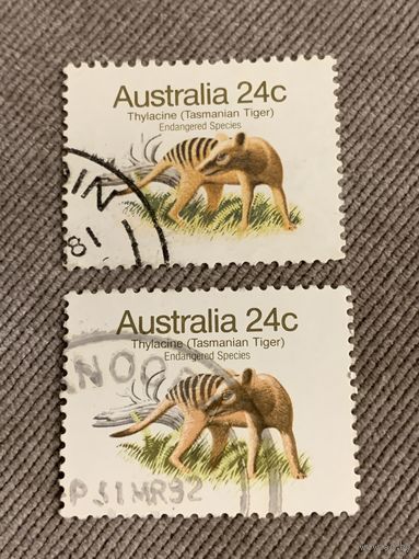 Австралия. Thylacine. Tasmanian tiger. Марка из серии