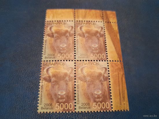 Беларусь 2008 кварт угол зубр будет правый нижний