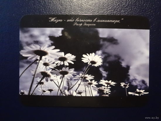 Календарик 2007 г. ИПП "Новик". Жизнь-это вечность в миниатюре.