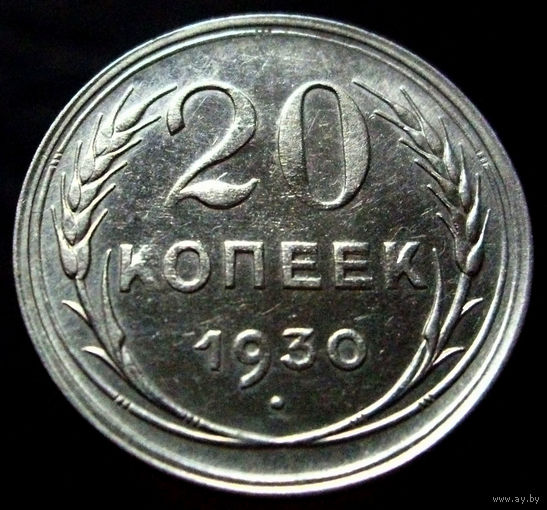 20 копеек 1930, блеск