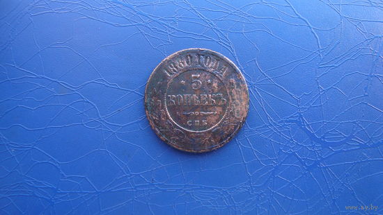 5 копеек 1880                                                     (1317)