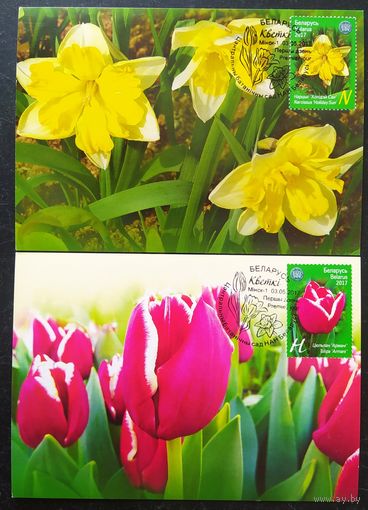 Беларусь 2017 КМ цветы