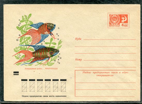 СССР 1971. ХМК. Конверт. Аквариумные рыбки. Макроподы