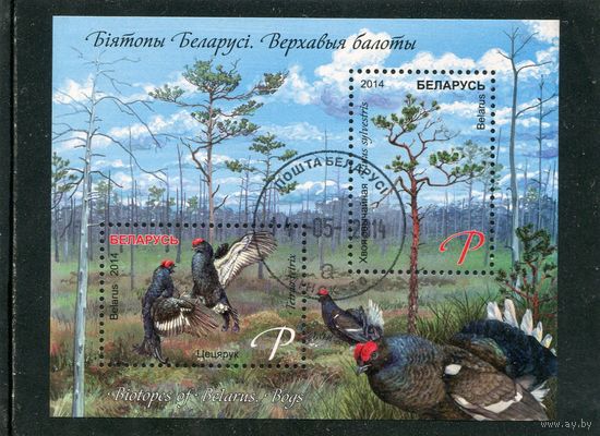 Беларусь 2014.. Билболота. Блок